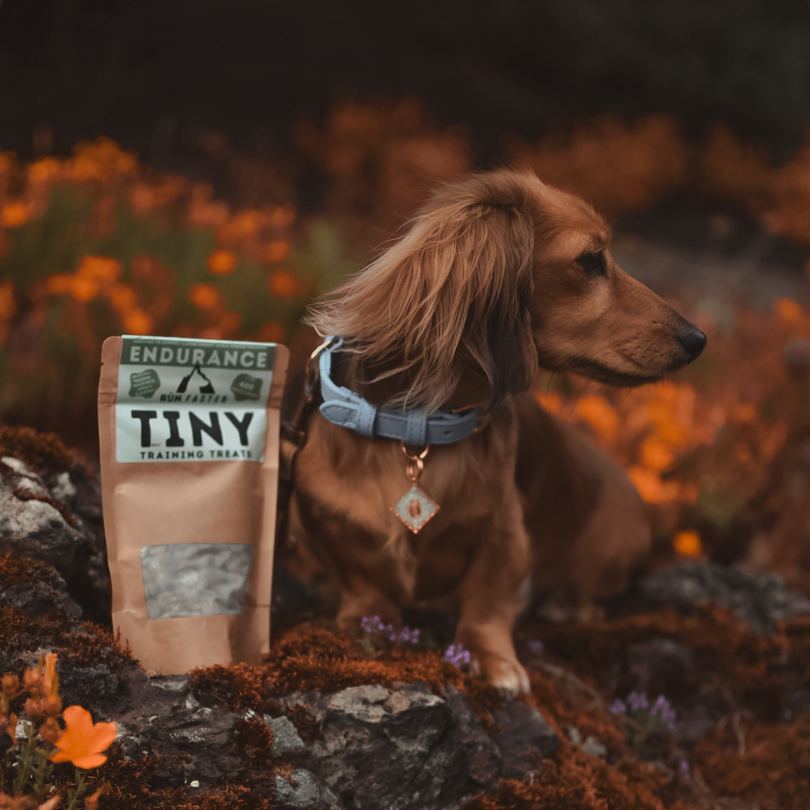 Truly TINY Training Treats