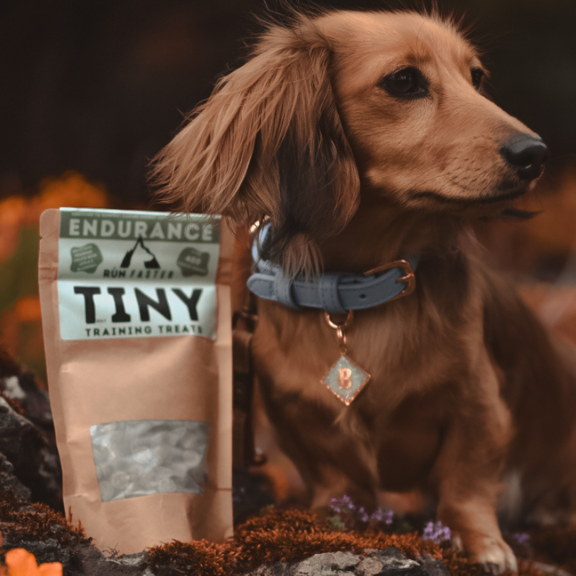 Truly TINY Training Treats