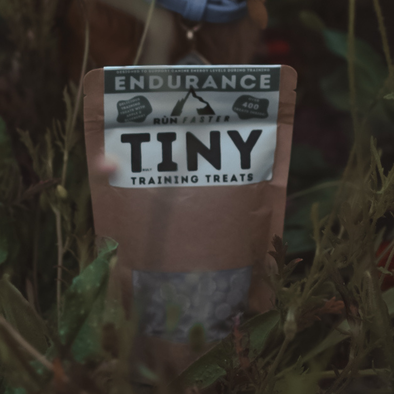 Truly TINY Training Treats